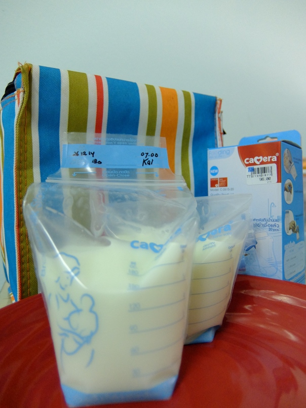 Camera Breast Milk Storage Bag